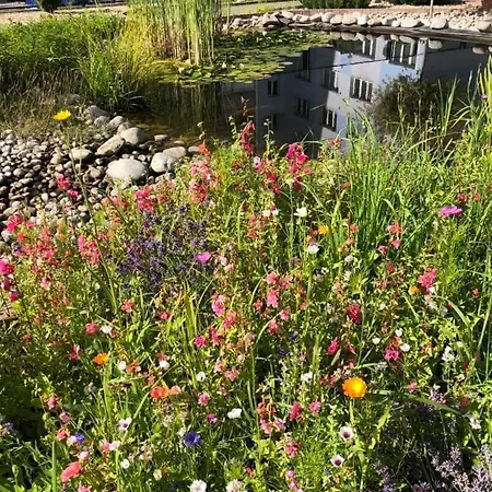 Set Affittacamere Košice