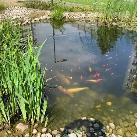 Set Gæstehus Košice