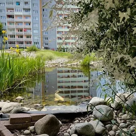 Set Гостевой дом 3*
